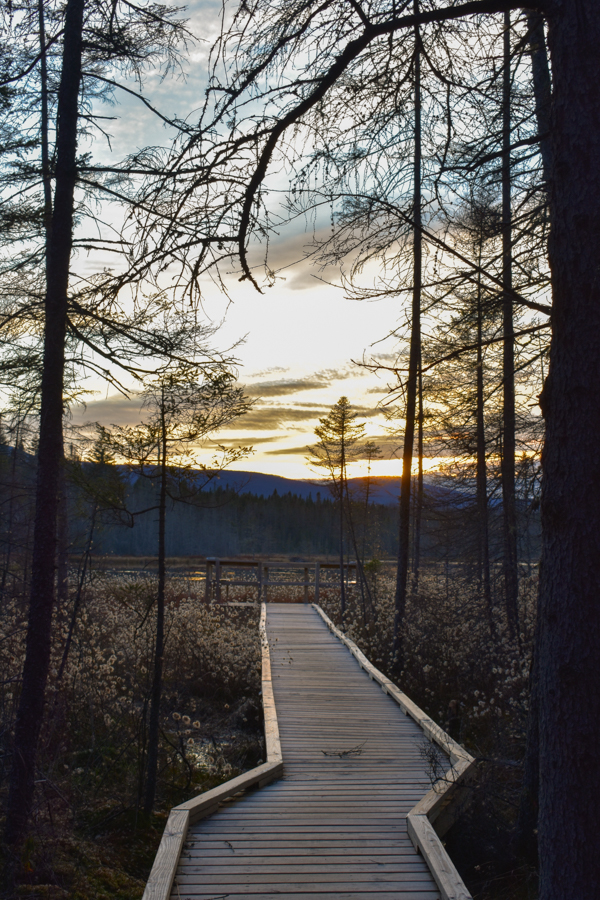 Ferdinand VT Century 21 Farm and Fоrest